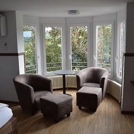 Mit Klimaanlage Am Neckarufer, Schoene Aussicht Aparthotel