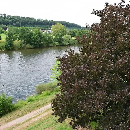Mit Klimaanlage Am Neckarufer, Schoene Aussicht باد فرديريش شال