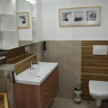 公寓式酒店 Mit Klimaanlage Am Neckarufer, Schoene Aussicht 巴特腓特烈斯哈尔