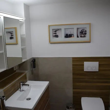 Mit Klimaanlage Am Neckarufer, Schoene Aussicht 公寓式酒店 巴特腓特烈斯哈尔