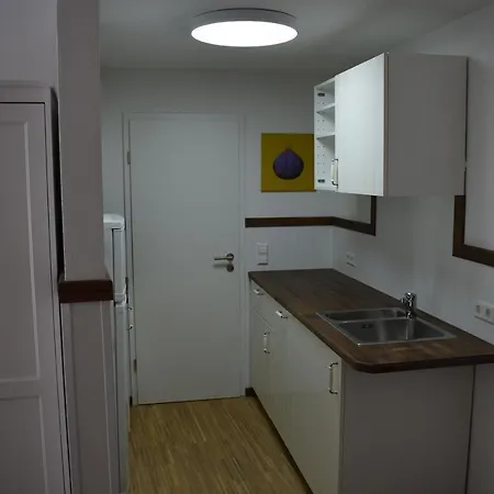Mit Klimaanlage Am Neckarufer, Schoene Aussicht 公寓式酒店 巴特腓特烈斯哈尔