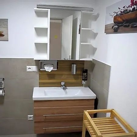 Mit Klimaanlage Am Neckarufer, Schoene Aussicht 公寓式酒店 巴特腓特烈斯哈尔