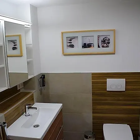 Mit Klimaanlage Am Neckarufer, Schoene Aussicht 公寓式酒店 巴特腓特烈斯哈尔