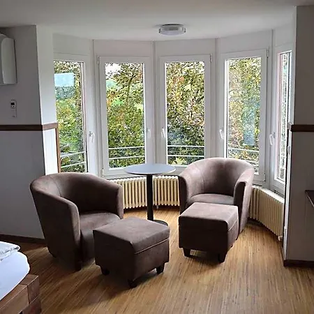 Mit Klimaanlage Am Neckarufer, Schoene Aussicht 巴特腓特烈斯哈尔
